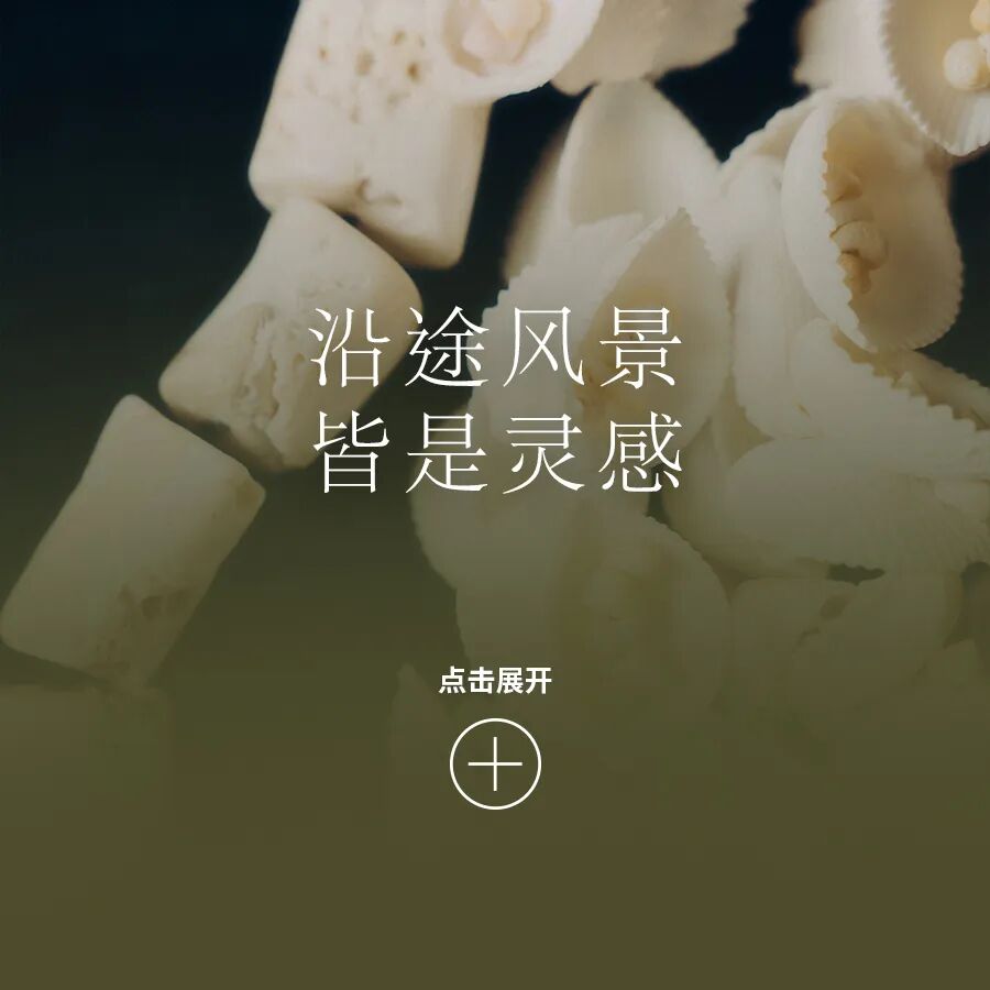 把世界,穿出己见