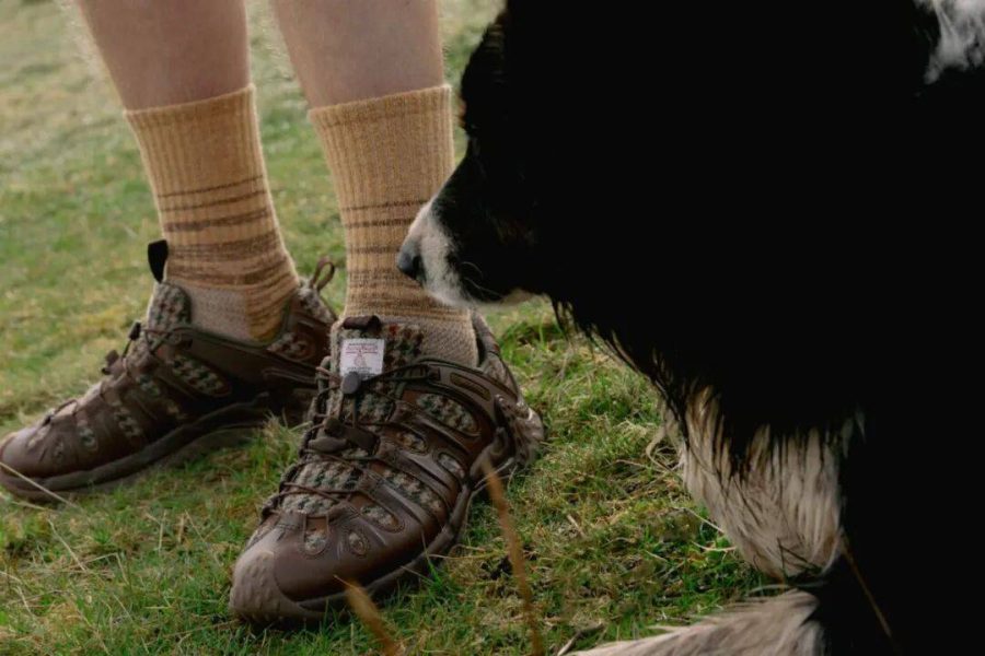MerrellЯ��HarrisTweed�Ƴ�����Ь��ϵ��