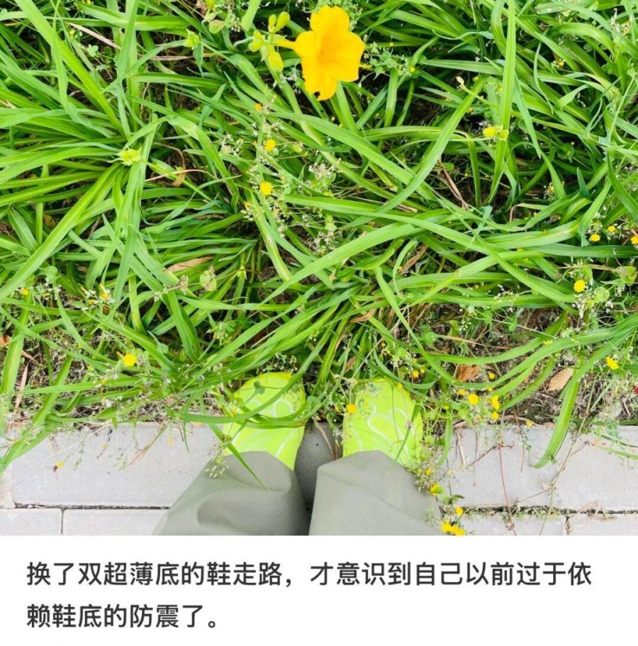 �ȸ߸�Ь������������̾ߣ��в����Ŵ���