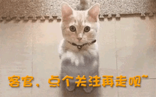 售价1499元!狂卖超600万双,“童鞋界的爱马仕”被中产捧上神坛