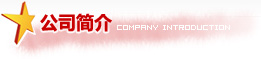 公司简介 Company Introduction